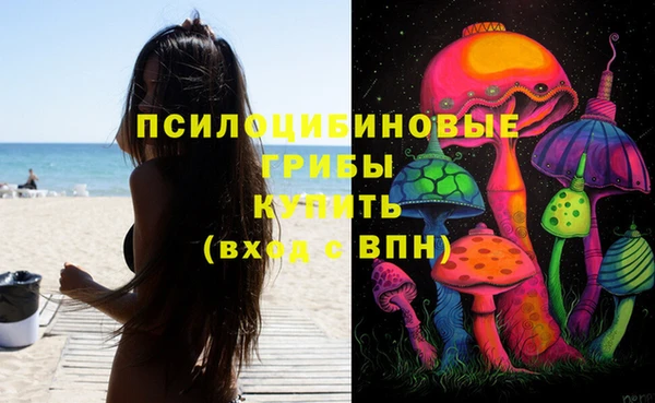 Альфа ПВП Абдулино