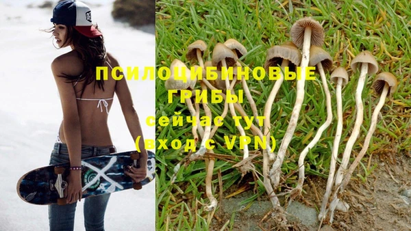 Альфа ПВП Абдулино